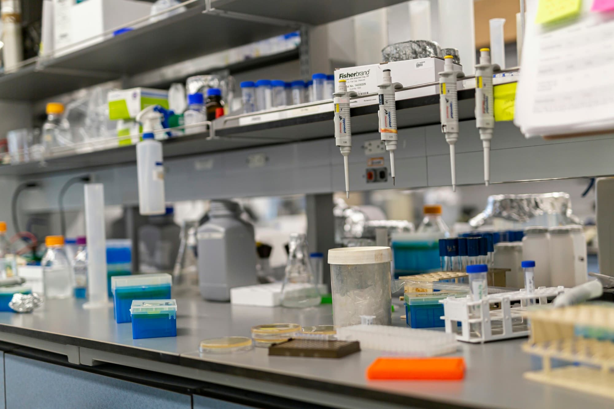 A busy laboratory bench with pipettes on stands, reagent bottles, tip boxes, petri dishes and tube racks.